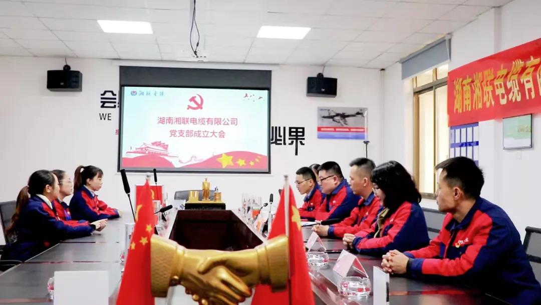 新征程 | 熱烈祝賀湖南湘聯(lián)電纜有限公司黨支部正式成立！