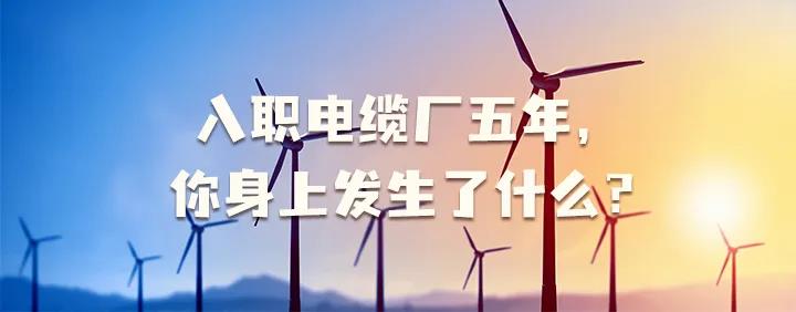 入職電纜廠五年，你身上發(fā)生了哪些變化~