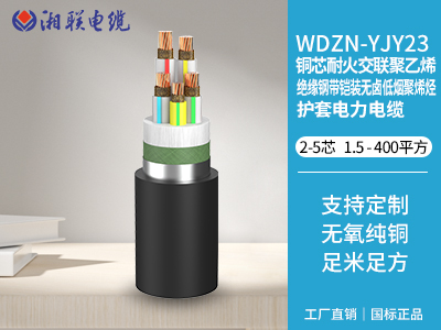 電纜接頭有哪些常見的故障類型？